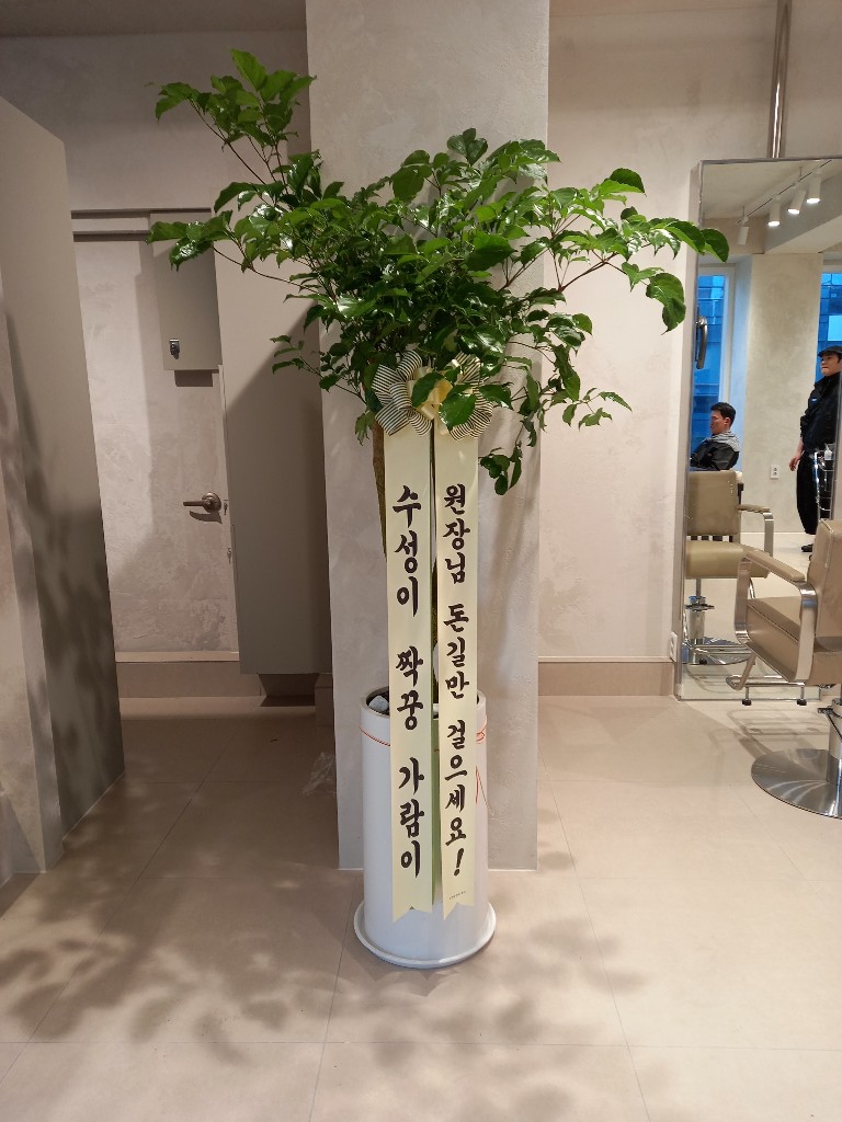 업로드 이미지