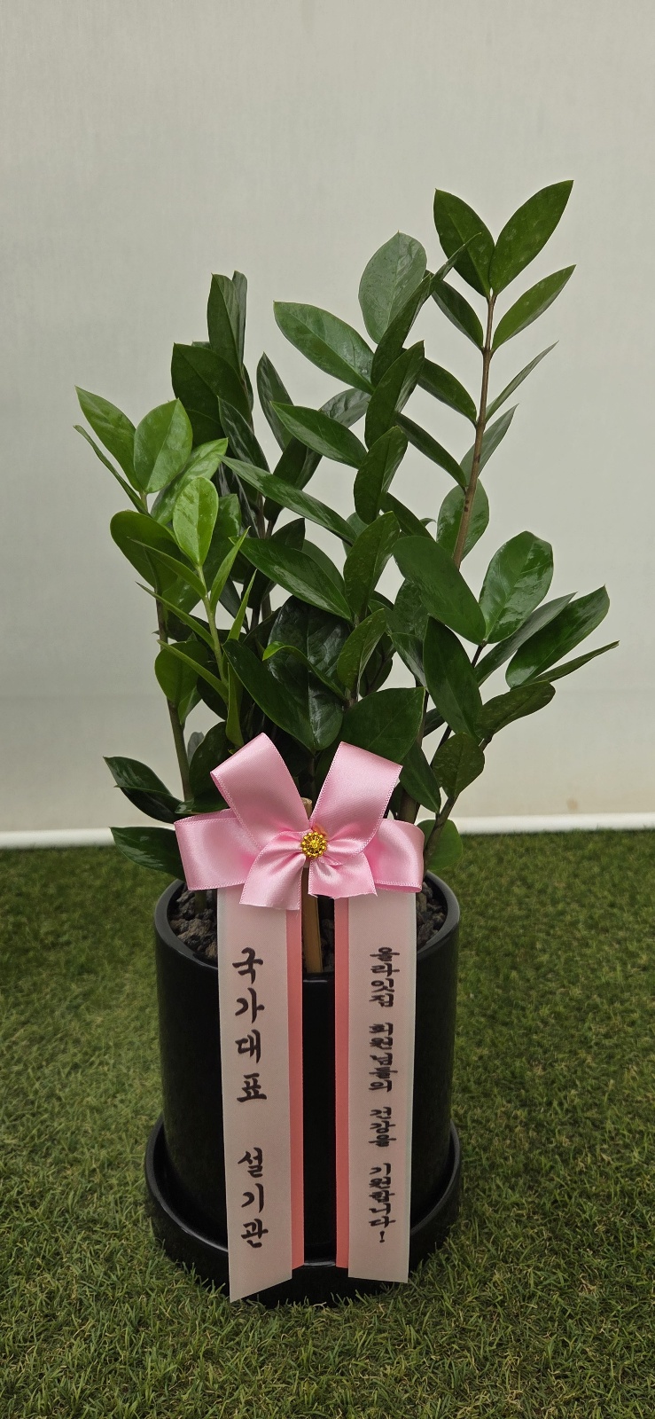 업로드 이미지