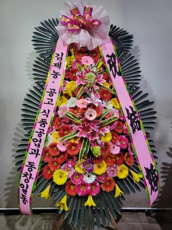 업로드 이미지