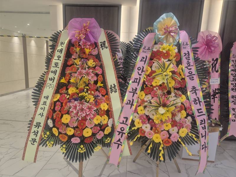 업로드 이미지
