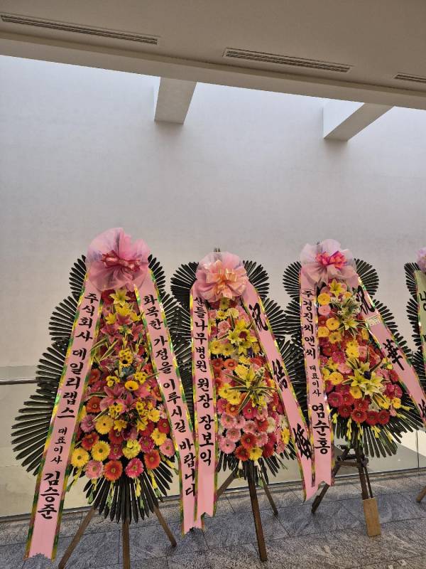 업로드 이미지