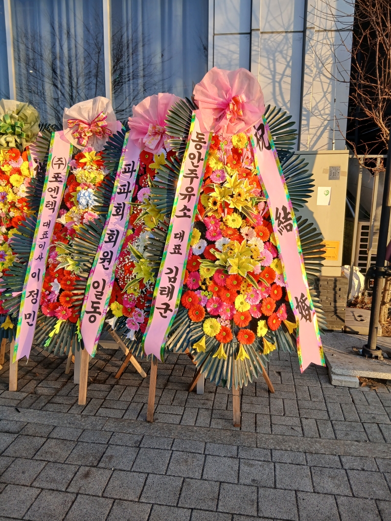 업로드 이미지