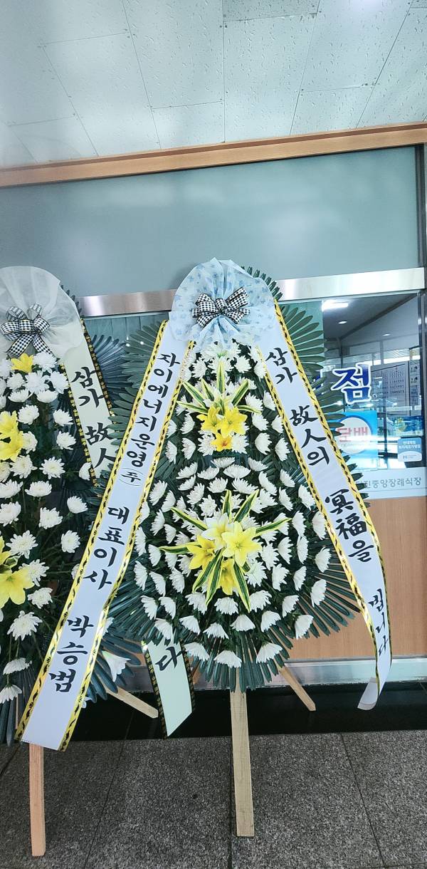 업로드 이미지