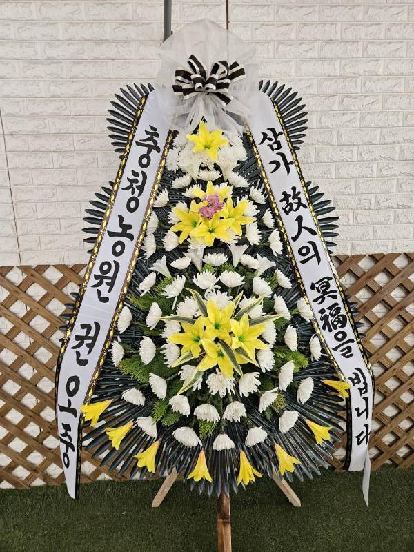 업로드 이미지