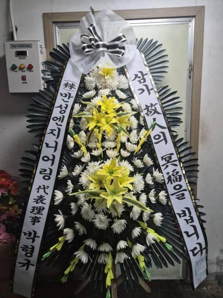 업로드 이미지