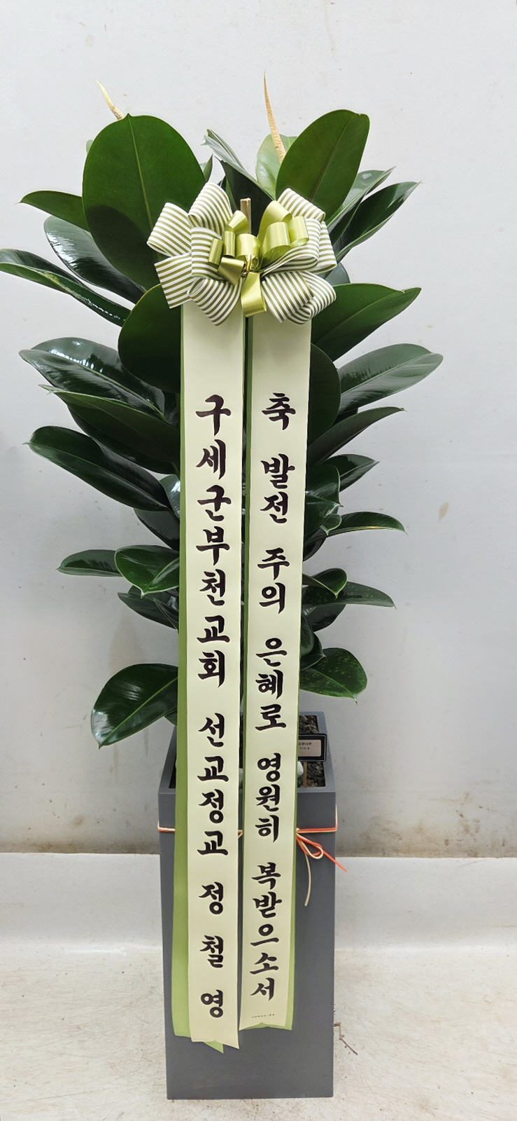 업로드 이미지