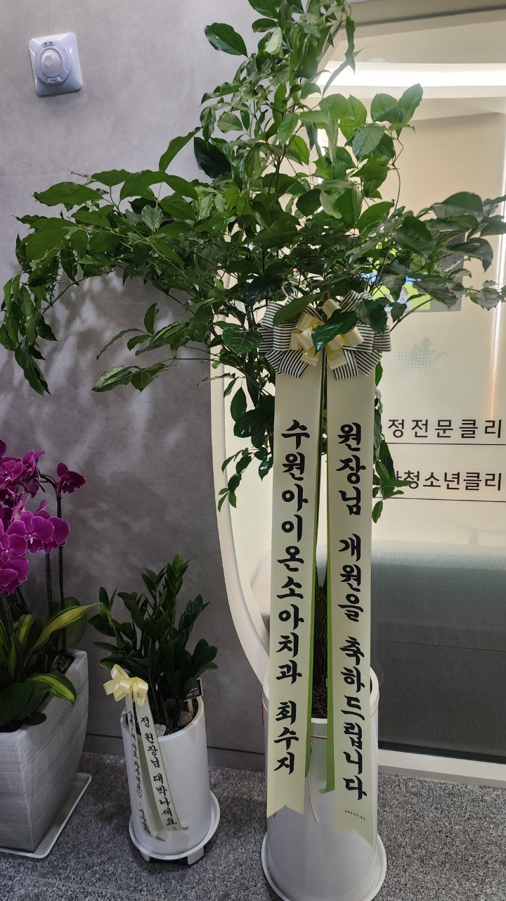업로드 이미지