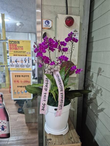 업로드 이미지