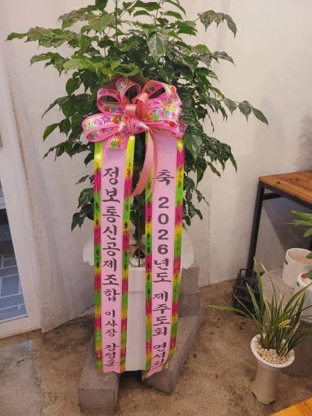 업로드 이미지