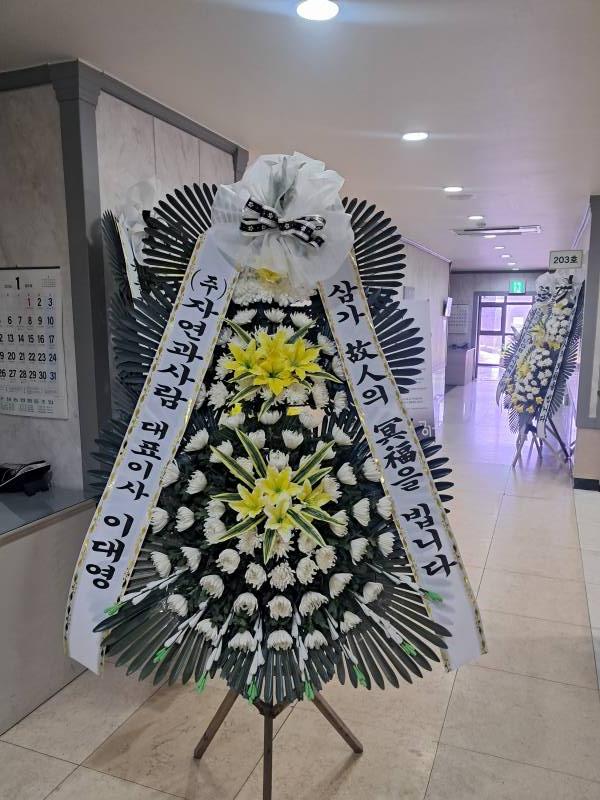 업로드 이미지