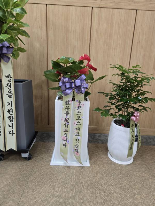 업로드 이미지
