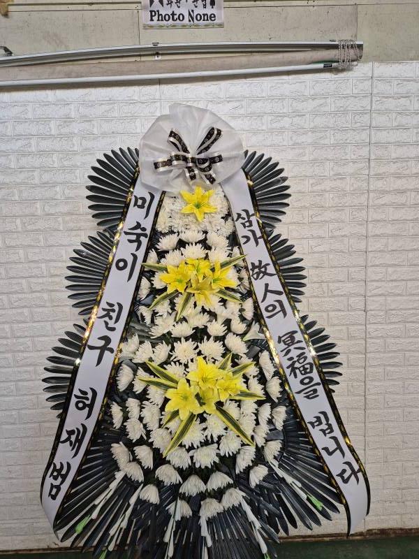 업로드 이미지