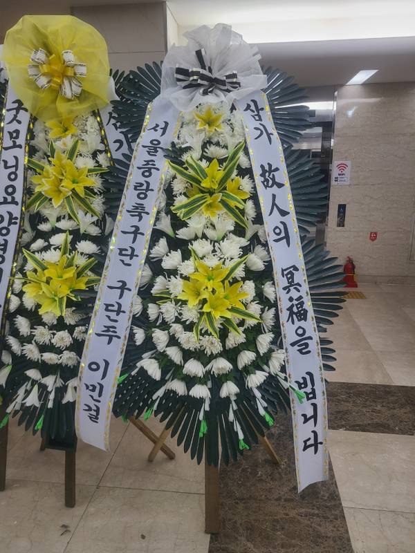 업로드 이미지