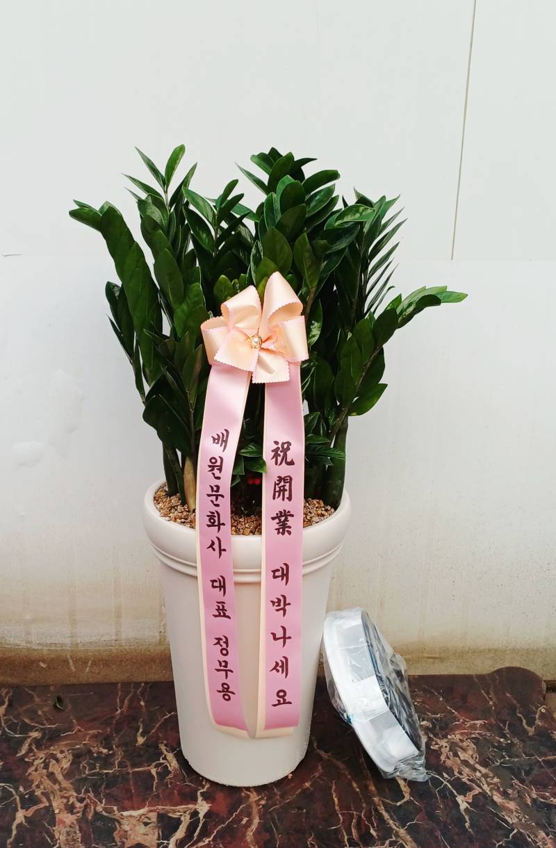 업로드 이미지