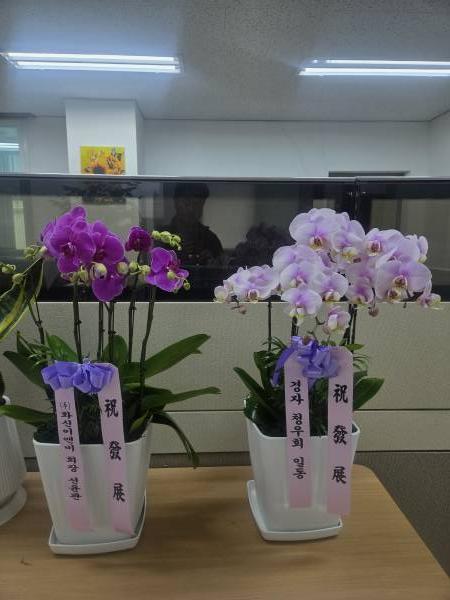 업로드 이미지