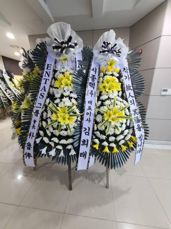 업로드 이미지