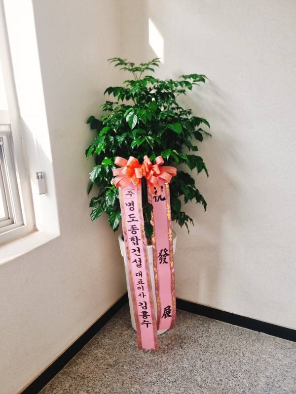 업로드 이미지