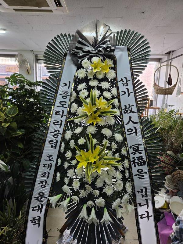 업로드 이미지
