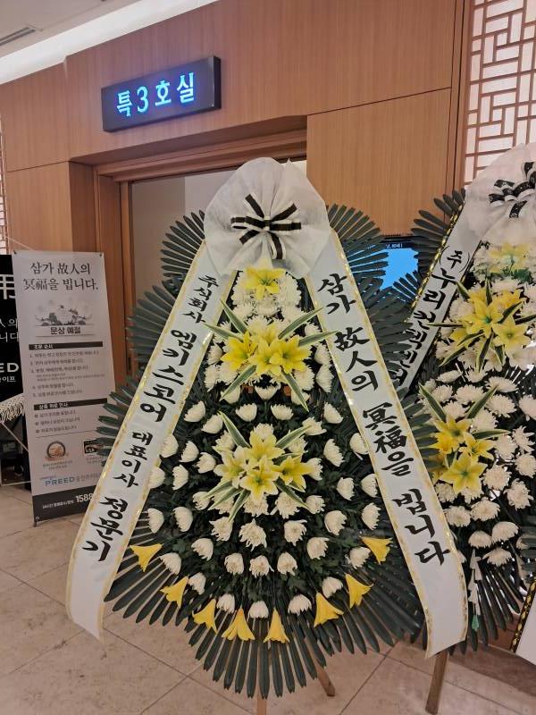 업로드 이미지