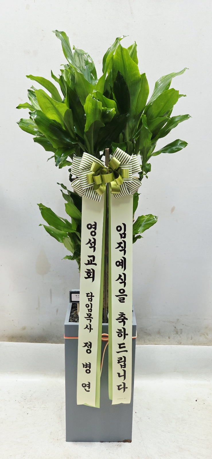 업로드 이미지