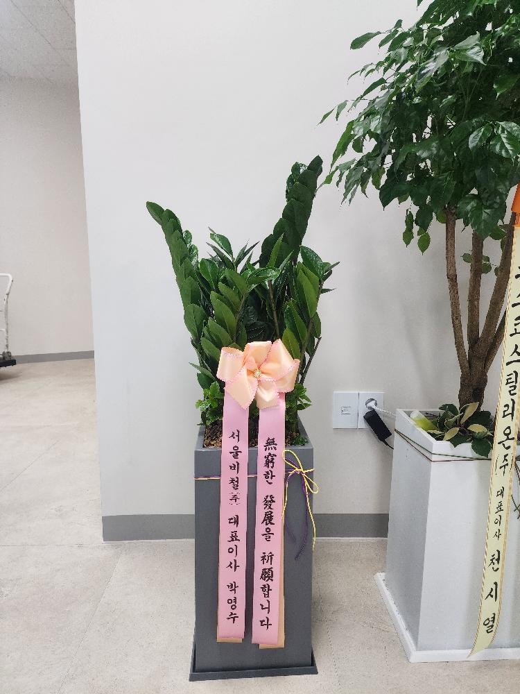 업로드 이미지