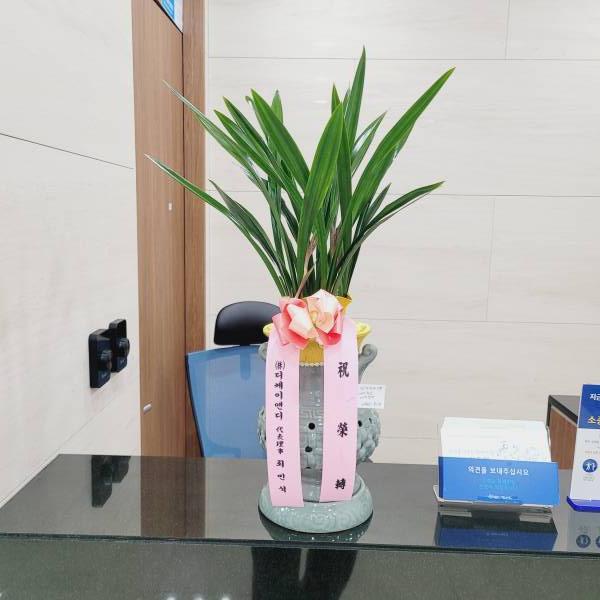 업로드 이미지
