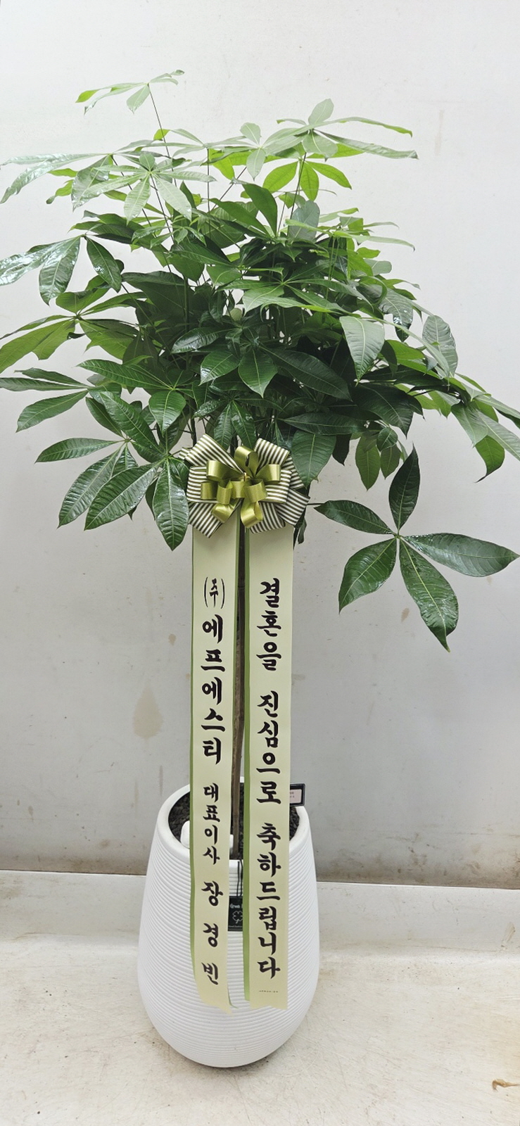 업로드 이미지