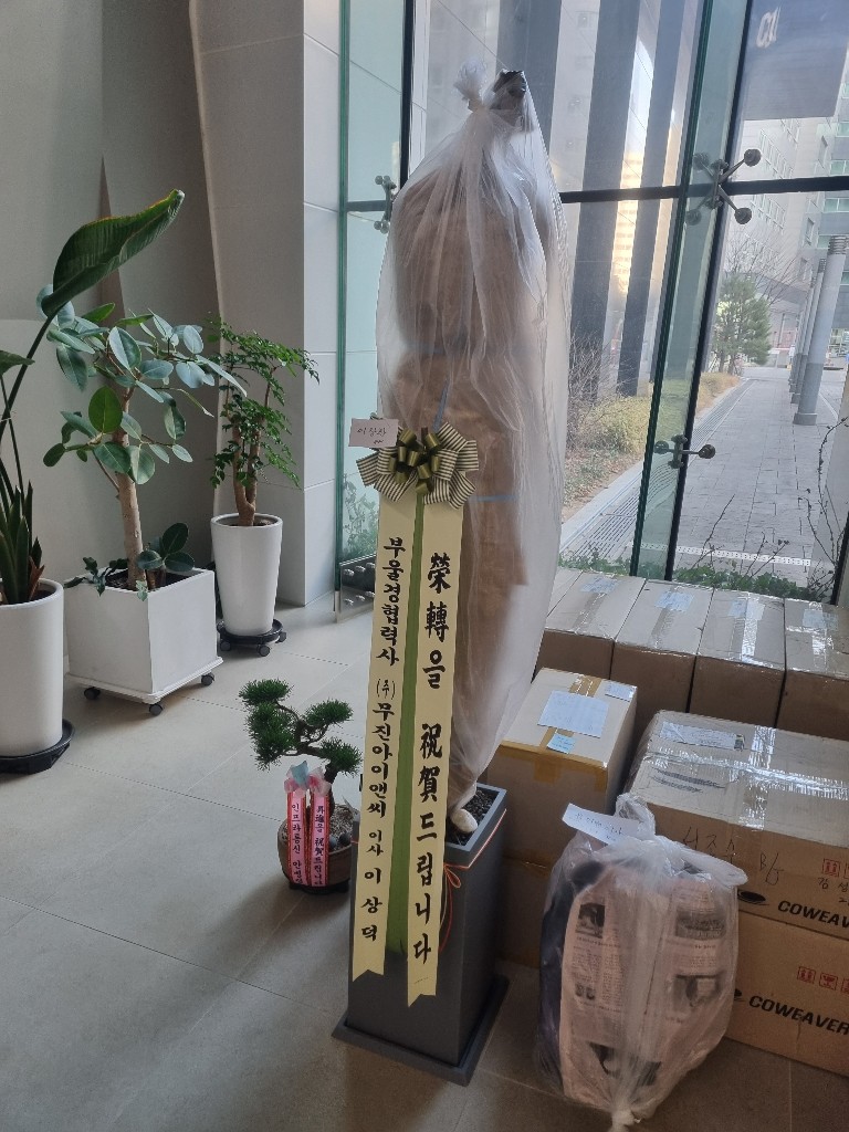 업로드 이미지