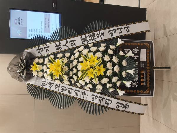 업로드 이미지