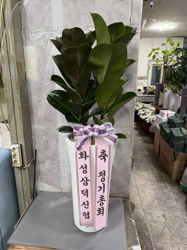 업로드 이미지