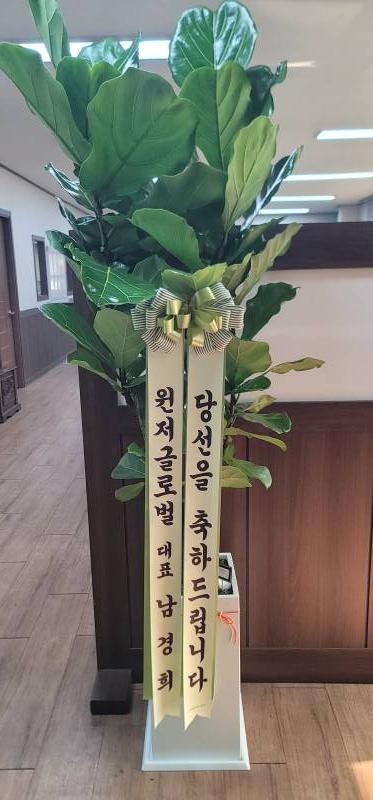업로드 이미지