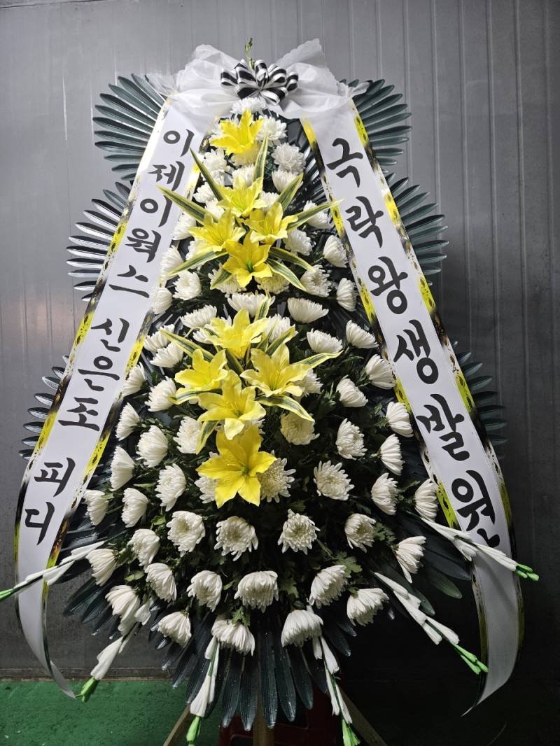 업로드 이미지