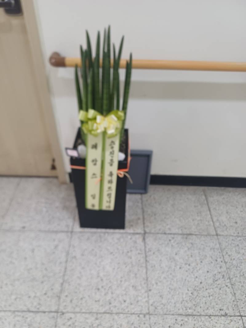 업로드 이미지