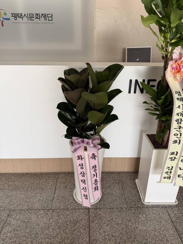 업로드 이미지