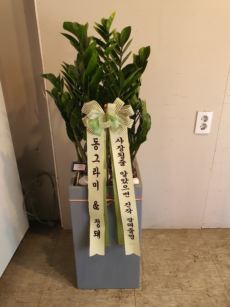 업로드 이미지