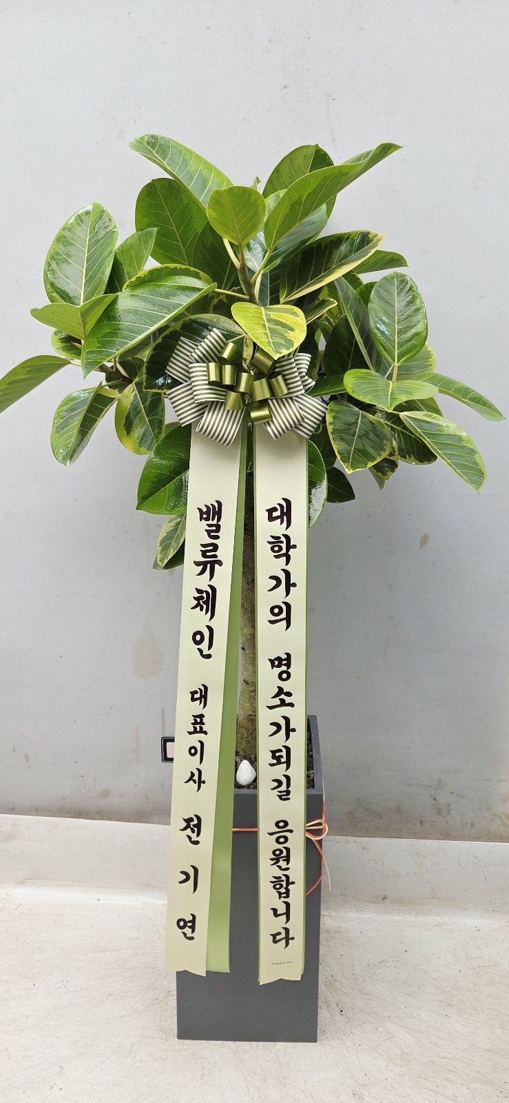 업로드 이미지