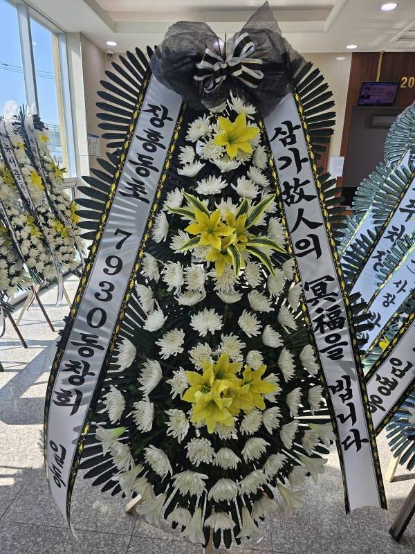 업로드 이미지
