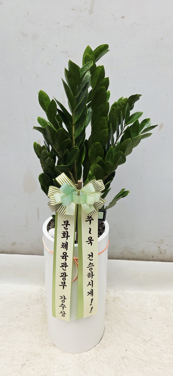 업로드 이미지