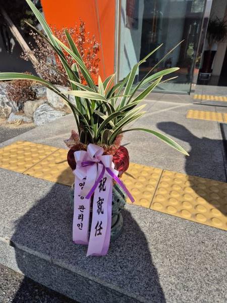 업로드 이미지