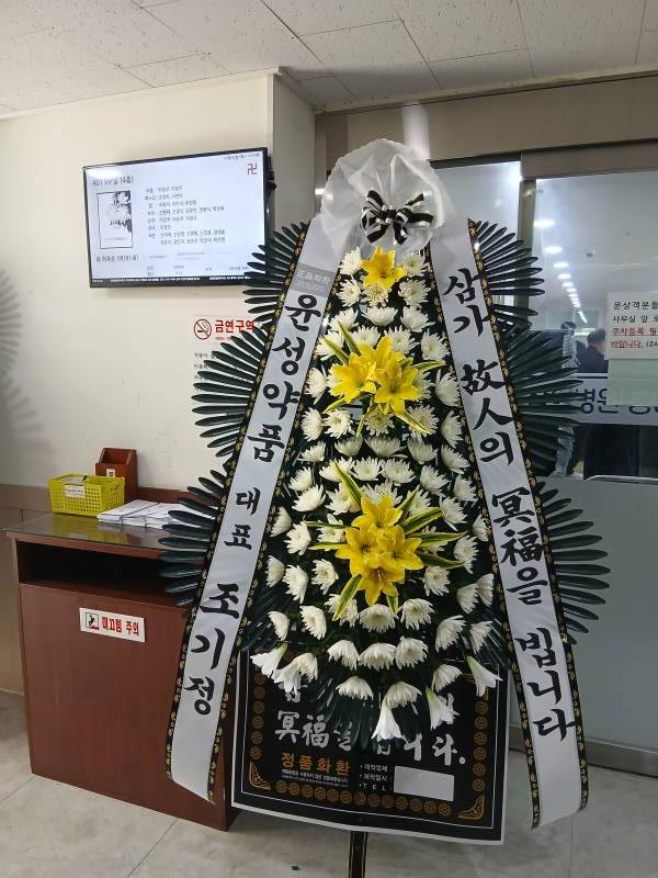 업로드 이미지