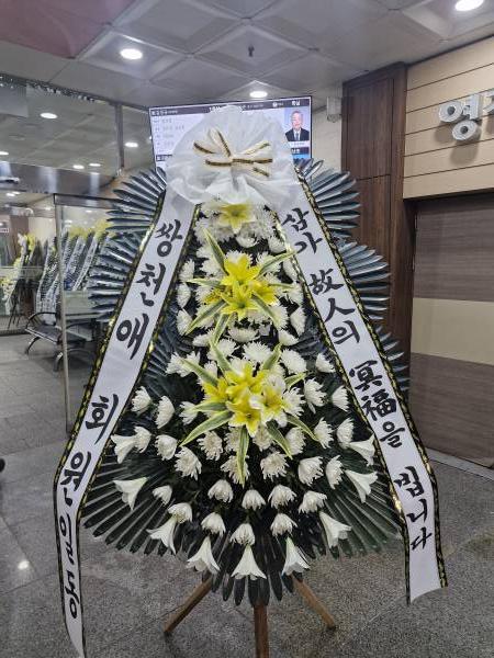 업로드 이미지