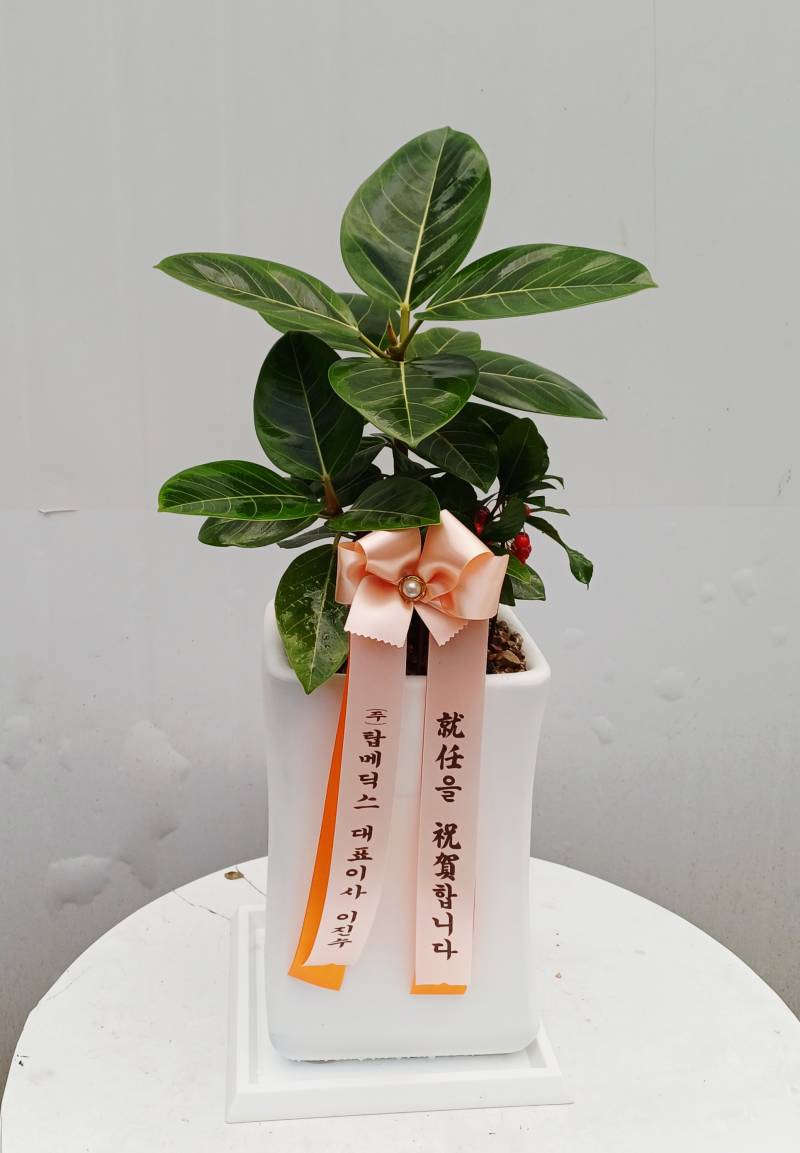 업로드 이미지
