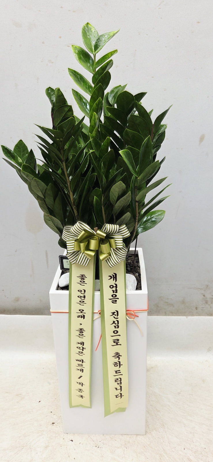 업로드 이미지