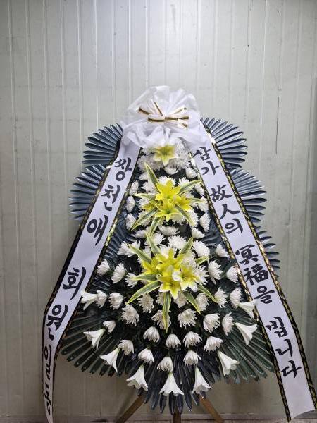업로드 이미지