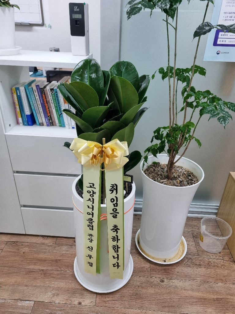 업로드 이미지