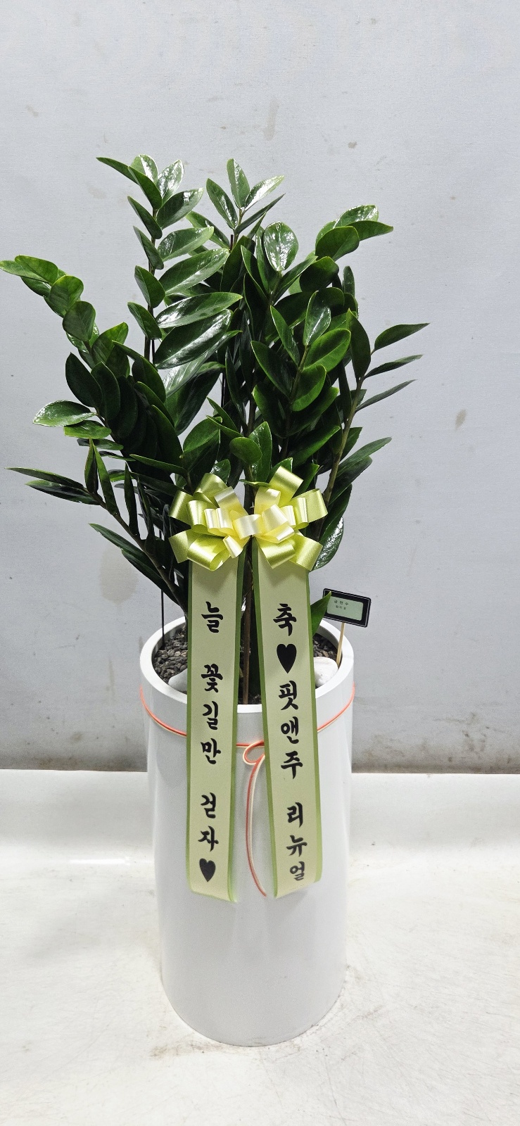 업로드 이미지