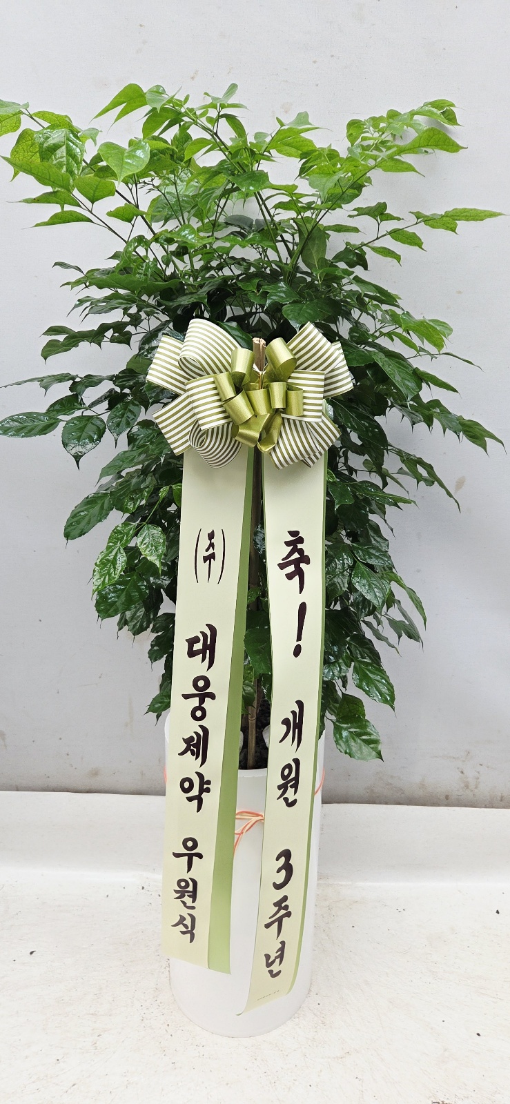 업로드 이미지