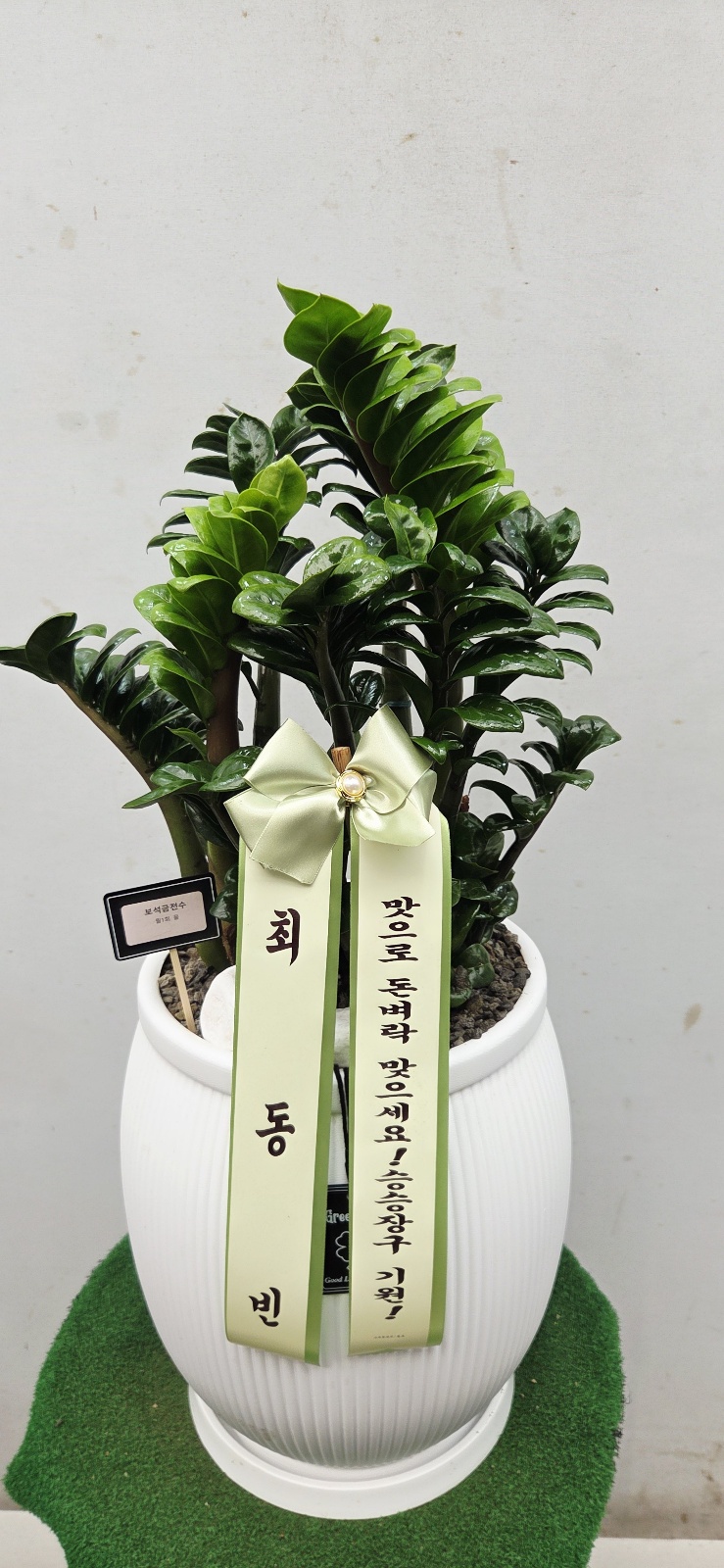 업로드 이미지