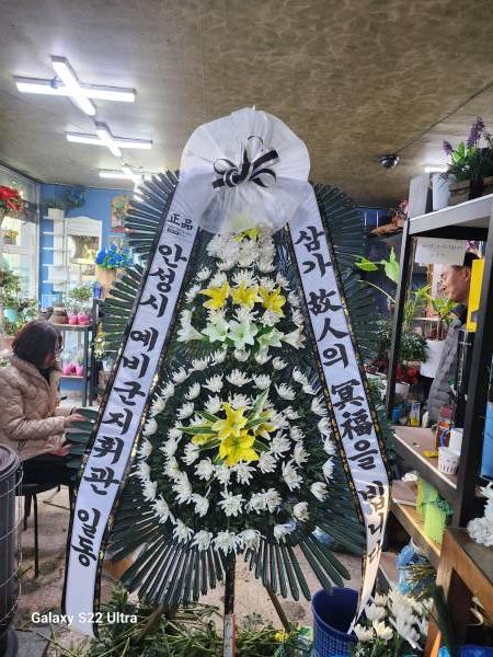업로드 이미지