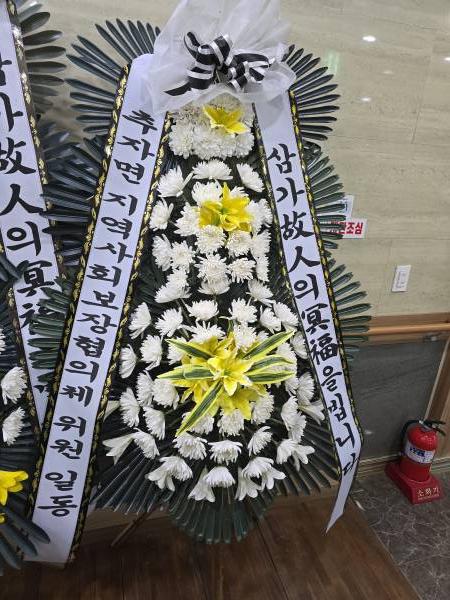 업로드 이미지
